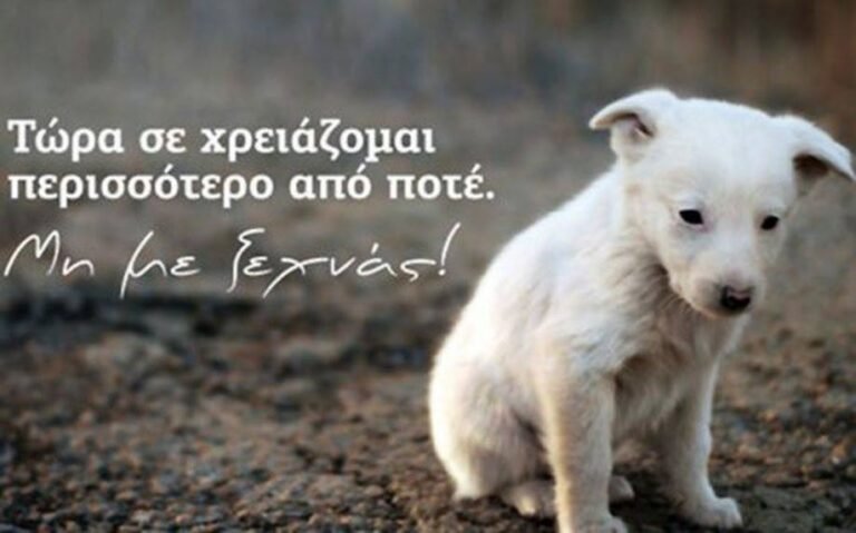 Σαρωτικές αλλαγές στο καθεστώς ιδιοκτησίας ζώων συντροφιάς από την 1η Μαρτίου 2022