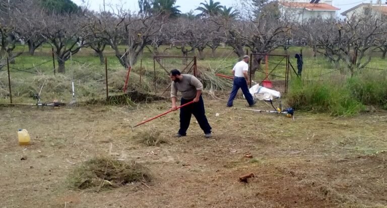 Δήμος Αιγιάλειας: Καθαρίστε οικόπεδα και ακάλυπτους χώρους ενόψει της αντιπυρικής περιόδου