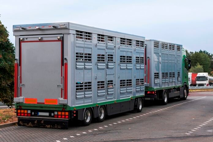 Πώς-θα-εγγραφείτε-στο-Μητρώο-Εμπόρων-Ζώντων-Ζώων