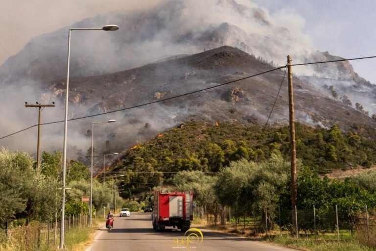 Κήρυξη σε κατάσταση έκτακτης ανάγκης των Τοπικών Κοινοτήτων Μαμουσιάς, Ελαιώνα, Ροδιάς, Ζαχλωριτίκων, Διακοπτού, Καθολικού και Τράπεζας που επλήγησαν από την καταστροφική δασική πυρκαγιά της 23ης Ιουλίου