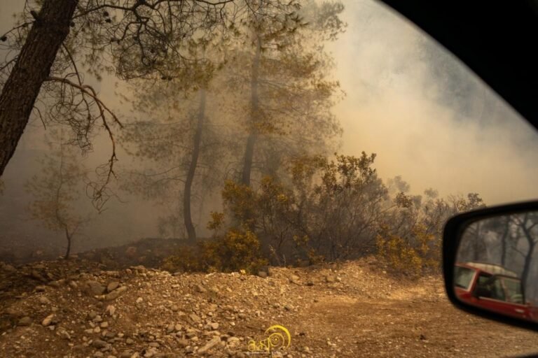 Υποβολή αιτήσεων αποζημίωσης για ζημιές σε πυρόπληκτες περιοχές της Δ.Ε. Διακοπτού Αιγιαλείας