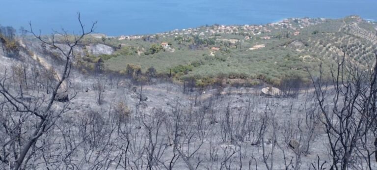 Αίτημα της δημοτικής αρχής για κήρυξη των Κοινοτήτων που επλήγησαν από την πρόσφατη πυρκαγιά στην Αιγιάλεια σε κατάσταση έκτακτης ανάγκης