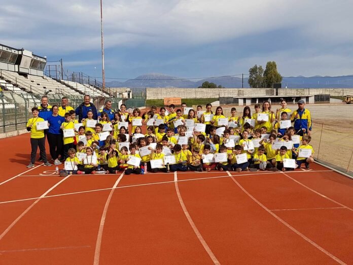 d1d9fd9a-66bf-40ff-bff0-c622dda85669