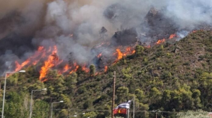 b165c1cff33a4265a0bfc35c59072891