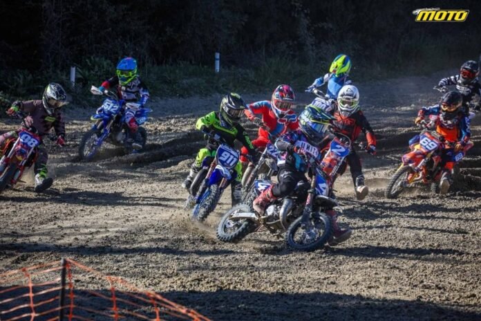 420213011_951200043675144_1002413673038913681_n