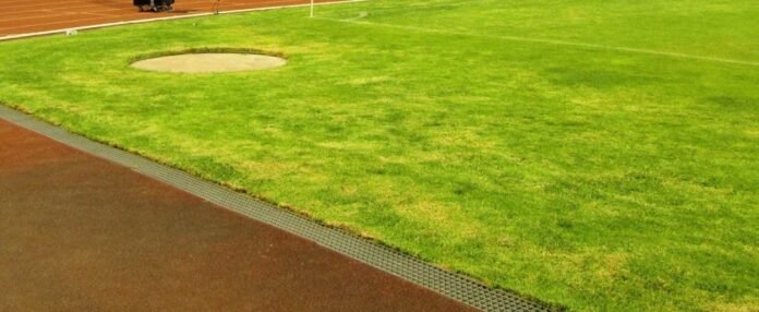 85206822_10215405316546172_3221524530572820480_n